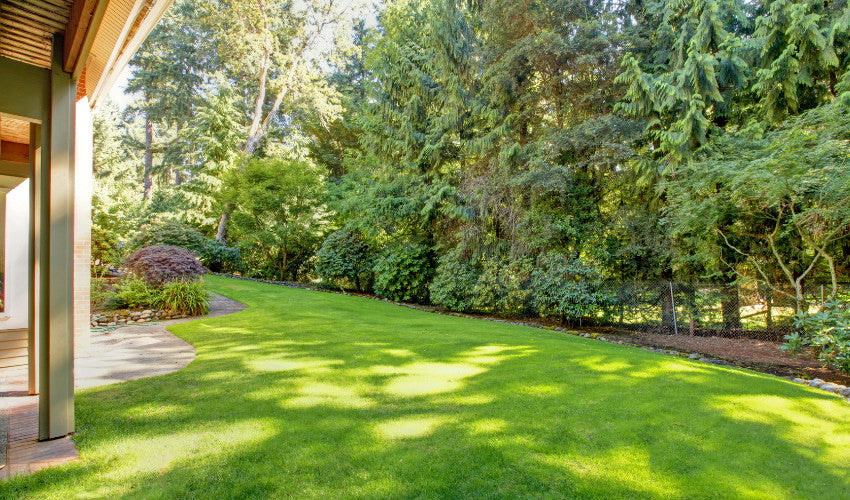 Level Up Your Lawn: Tools That Make Summer Yard Work Easier