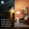 GE Ultra Bright LED 150 Watt Replacement Warm White PAR38 Outdoor Floodlight Bulb